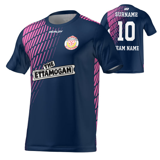 BDSFA - Gradient - Navy & Pink