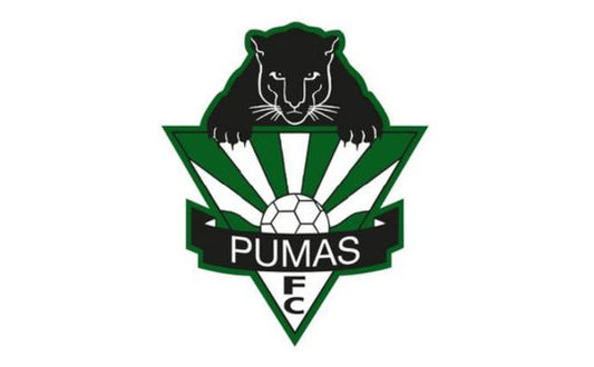 HILLS PUMAS FOOTBALL CLUB