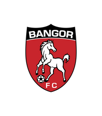 Bangor Brumbies Logo Deploy Football