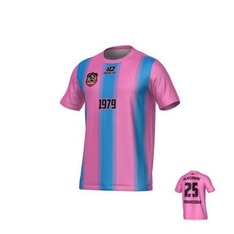 CHANDLER FUTSAL SUMMER - PILLARS - PINK & SKY BLUE