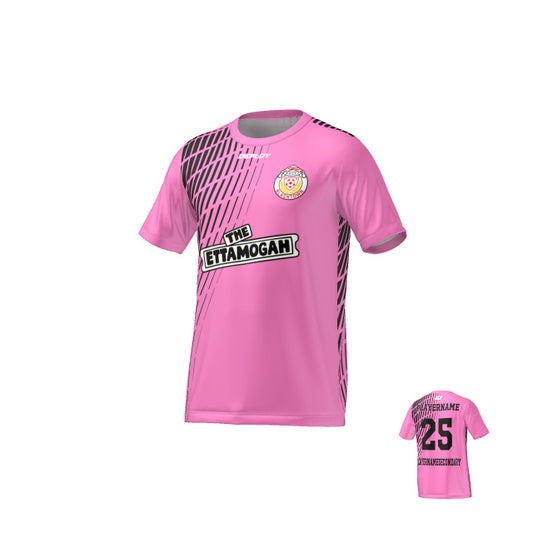 BDSFA - Gradient - Pink