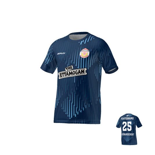 BDSFA - Faded - Navy & Sky Blue