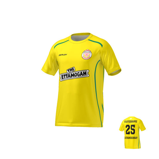 BDSFA - Lines - Yellow