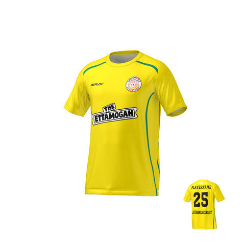 BDSFA - Lines - Yellow