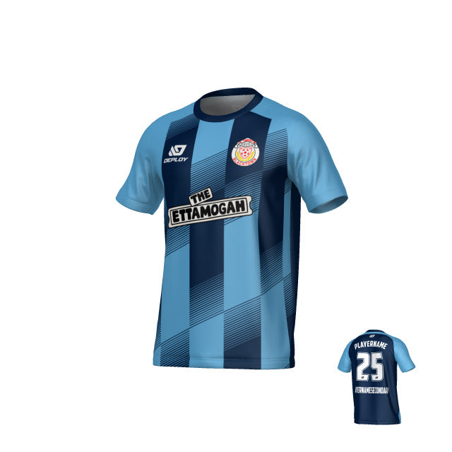 BDSFA SUMMER // VECTOR // NAVY & SKY BLUE