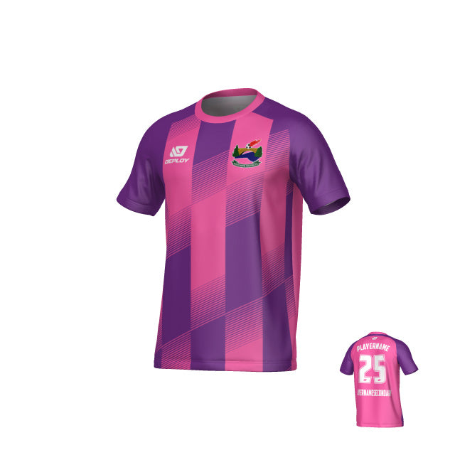 SDSFA SUMMER - VECTOR - PURPLE & PINK