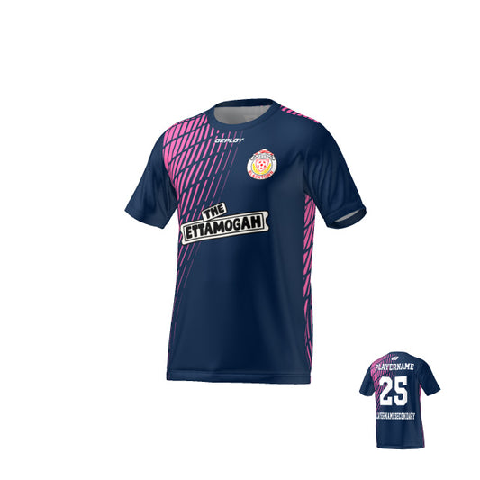 BDSFA - Gradient - Navy & Pink
