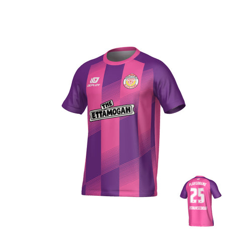 BDSFA SUMMER // VECTOR // PURPLE & PINK