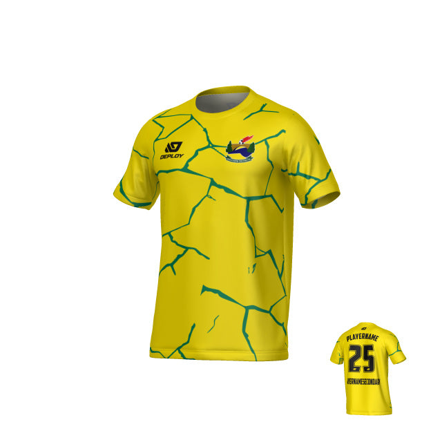 SDSFA SUMMER - CRACKS - YELLOW