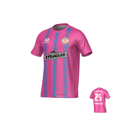 BDSFA SUMMER // ZIG ZAG // PINK