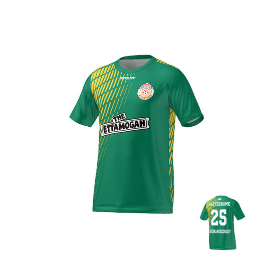 BDSFA - Gradient - Green