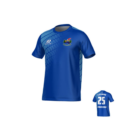 SDSFA SUMMER - SPRAY - BLUE