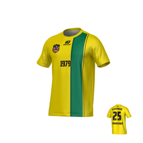 CHANDLER FUTSAL SUMMER - EDGE - GOLD & GREEN