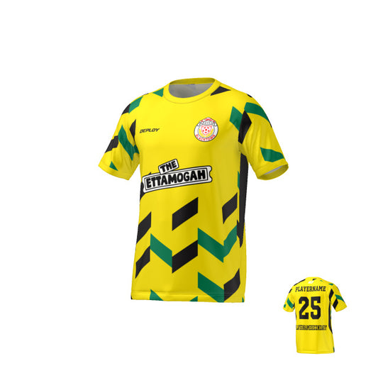 BDSFA - Arrows - Yellow