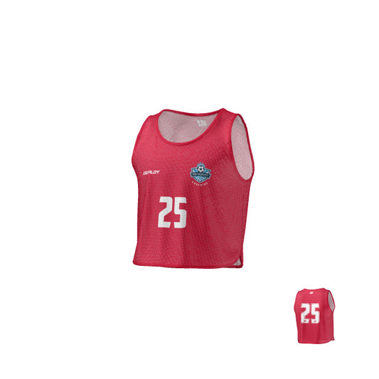 Troy Cladecutt Coaching - Training Mesh Bibs Red