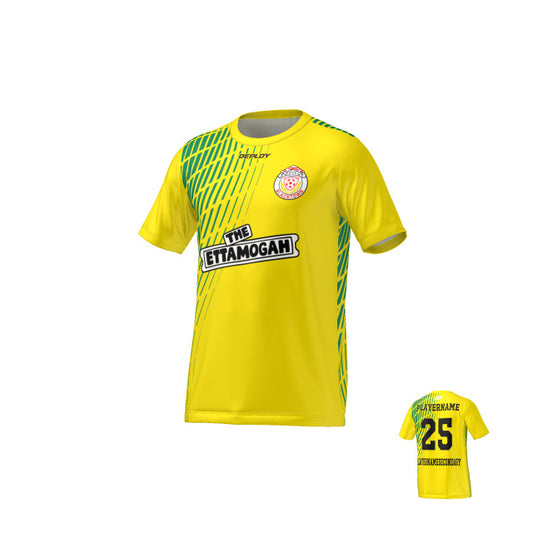 BDSFA - Gradient - Yellow